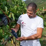 Il Vigneto Di Nonno Pietro Agerola