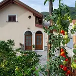 Il Vigneto Di Nonno Pietro