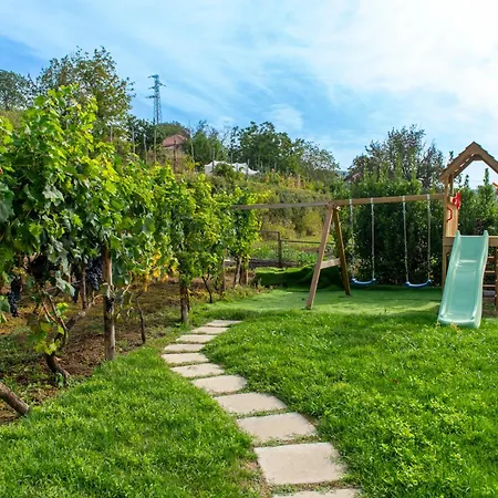 Bed & Breakfast Il Vigneto Di Nonno Pietro