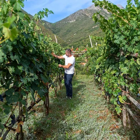 Bed & Breakfast Il Vigneto Di Nonno Pietro 4*