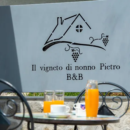 Bed & Breakfast Il Vigneto Di Nonno Pietro