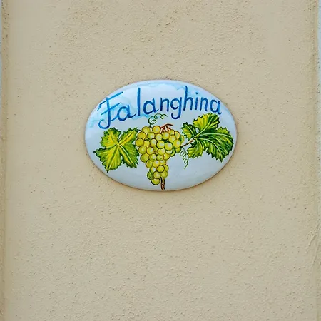 Bed & Breakfast Il Vigneto Di Nonno Pietro