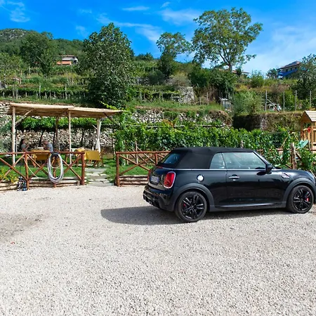 Panzió Il Vigneto Di Nonno Pietro