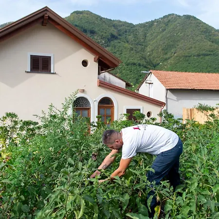 Il Vigneto Di Nonno Pietro Agerola