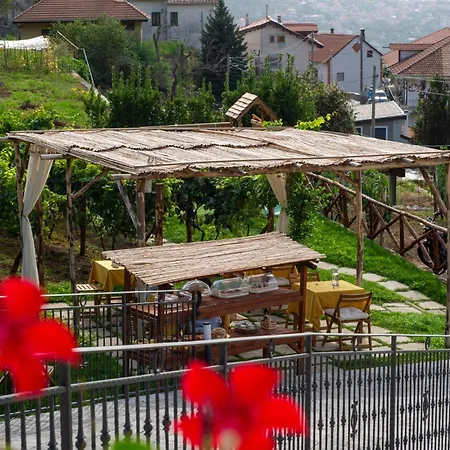 Il Vigneto Di Nonno Pietro *