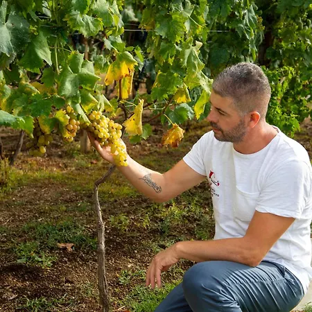 Il Vigneto Di Nonno Pietro * Agerola