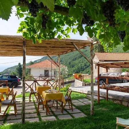 Il Vigneto Di Nonno Pietro Panzió *