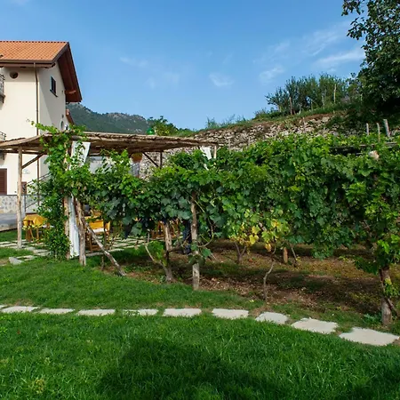 Il Vigneto Di Nonno Pietro