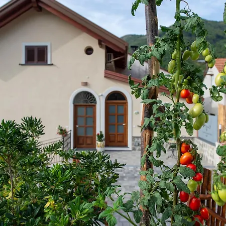 Il Vigneto Di Nonno Pietro